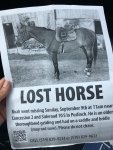 missing_horse.jpg